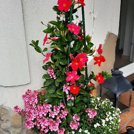 Appartement Munkacsy