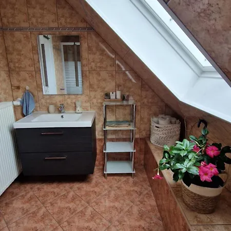 Munkacsy Balatonfenyves